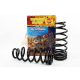 Terrain Tamer Coils spirálrugó hátsó +40mm +300-500Kg Ford Everest 2015->